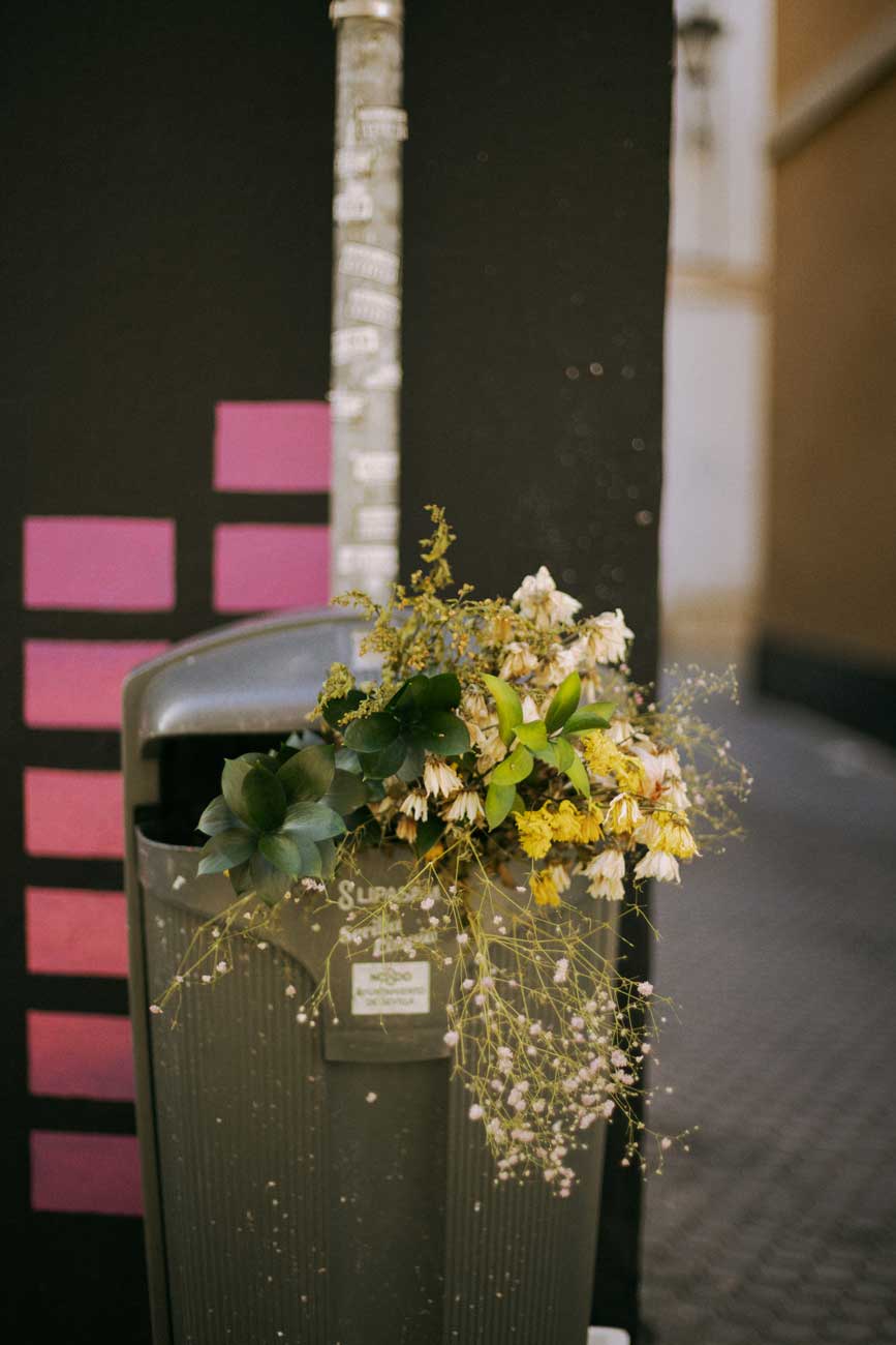 flores en la basura alejandra amere