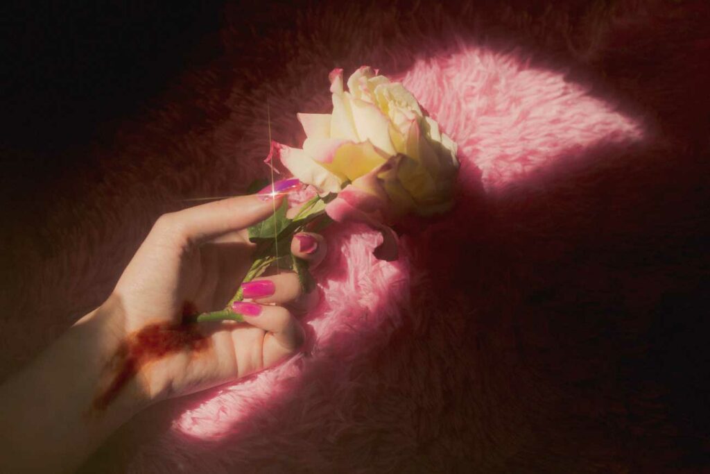 fotografia rosa